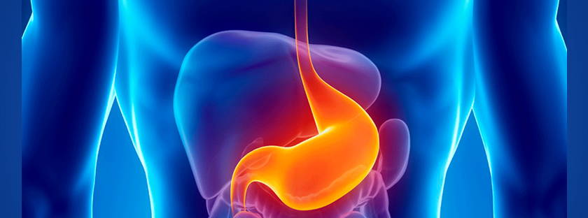 Gastroenterolj